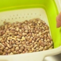 Preparare i fagioli borlotti