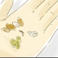 Coltivare piante da seme