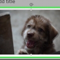 Riduci le presentazioni di powerpoint