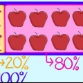Calcola le percentuali