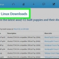 Installa puppy linux sul tuo pc
