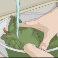 Mantieni l'insalata fresca