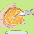 Semi d'arancia in germinazione