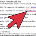 Installa skse