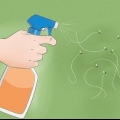 Uccidi rapidamente una mosca