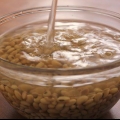 Fare il latte di soia