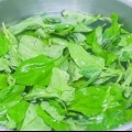 Congelare gli spinaci