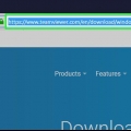 Utilizzo di team viewer