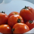 Pomodori in scatola