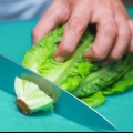 Fare l'insalata dell'orto