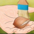 Conservazione dei bulbi di tulipano