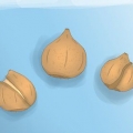 Piantare bulbi di tulipano