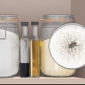 Sbarazzati dei parassiti della cucina