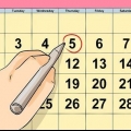 Determinare se sei incinta