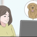 Comprare un cucciolo in sicurezza online