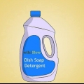 Uccidi le pulci con il detersivo per piatti dawn
