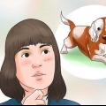 Prendersi cura di un cucciolo di beagle