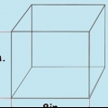 Prendersi cura delle lumache