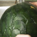 Congelare l'anguria