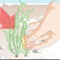 Tenere le lumache d'acqua