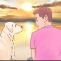 Scopri se piaci di più al tuo cane