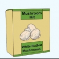 Crescere funghi bianchi