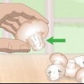Controlla se i funghi sono viziati