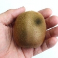 Vedi se un kiwi non va più bene