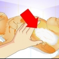 Controlla se un gatto è stato sterilizzato