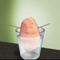 Coltivare la patata dolce