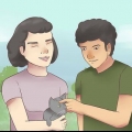 Assicurati che il tuo gatto ti conosca e ti ami