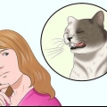 Assicurati che il tuo gatto non si spezzi da solo