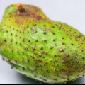 Fare il succo di zucchine
