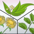 Prevenire i periodi pesanti: si può fare naturalmente?
