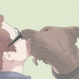 Apparentemente adorabile