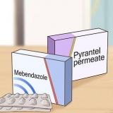 Sbarazzati degli ossiuri