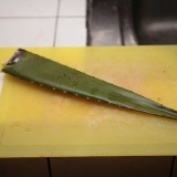 Preparare il succo di aloe vera