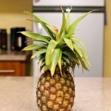 Preparare il succo di ananas