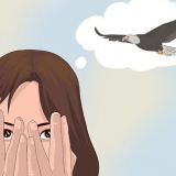 Supera la paura degli uccelli