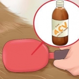 Usare l'aceto di mele nei cani