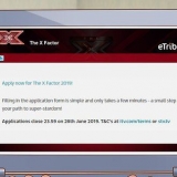 Provino per x factor