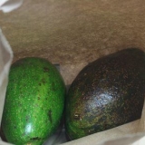 Conservare l'avocado