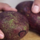 Congelare l'avocado
