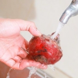 Barbabietole da conserve