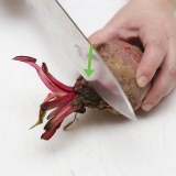 Fare il succo di barbabietola