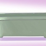 Crescere fiori dai semi