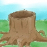 Uccidere le radici degli alberi