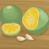 Piante di calamondina