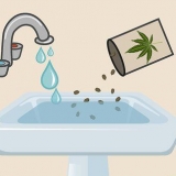 Piantare semi di cannabis in casa