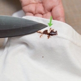 Elimina le macchie di cioccolato